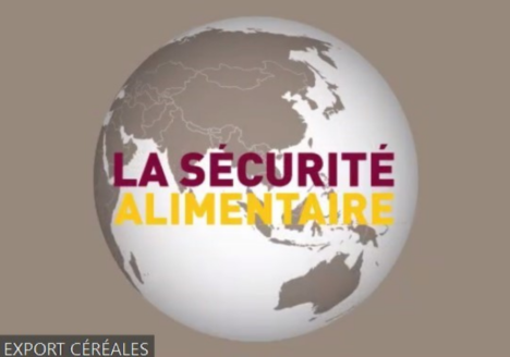 La sécurité alimentaire - France Export Céréales